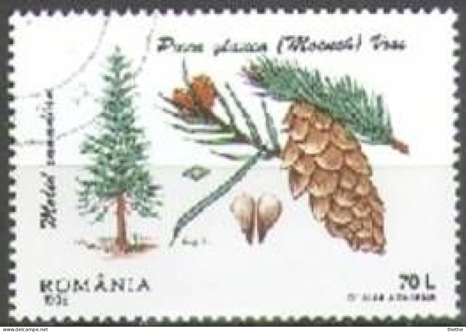ROUMANIE - Épicéa Blanc (Picea Glauca) - Used Stamps