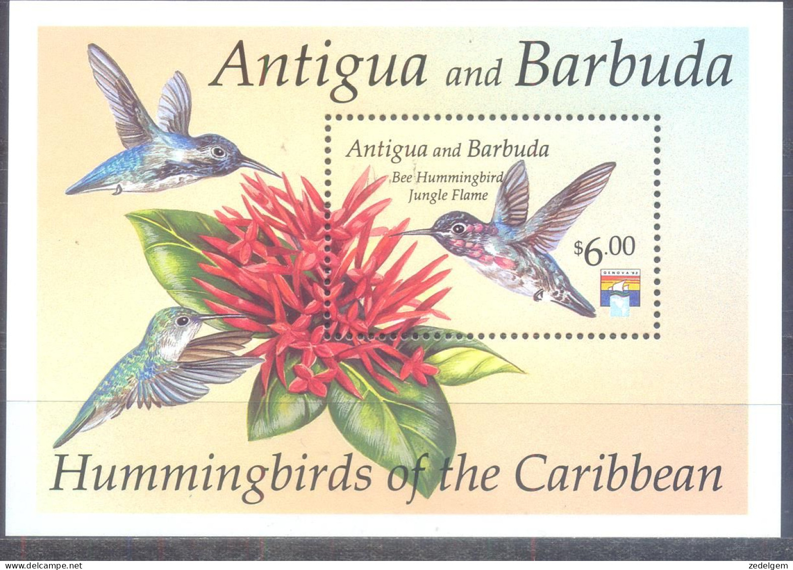 ANTIGUA AND BARBUDA  (VOG011) XC - Kolibries