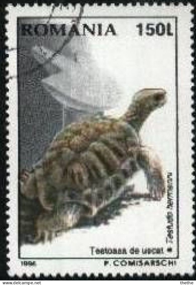 ROUMANIE - Tortue D'Hermann (Testudo Hermanni) - Gebraucht