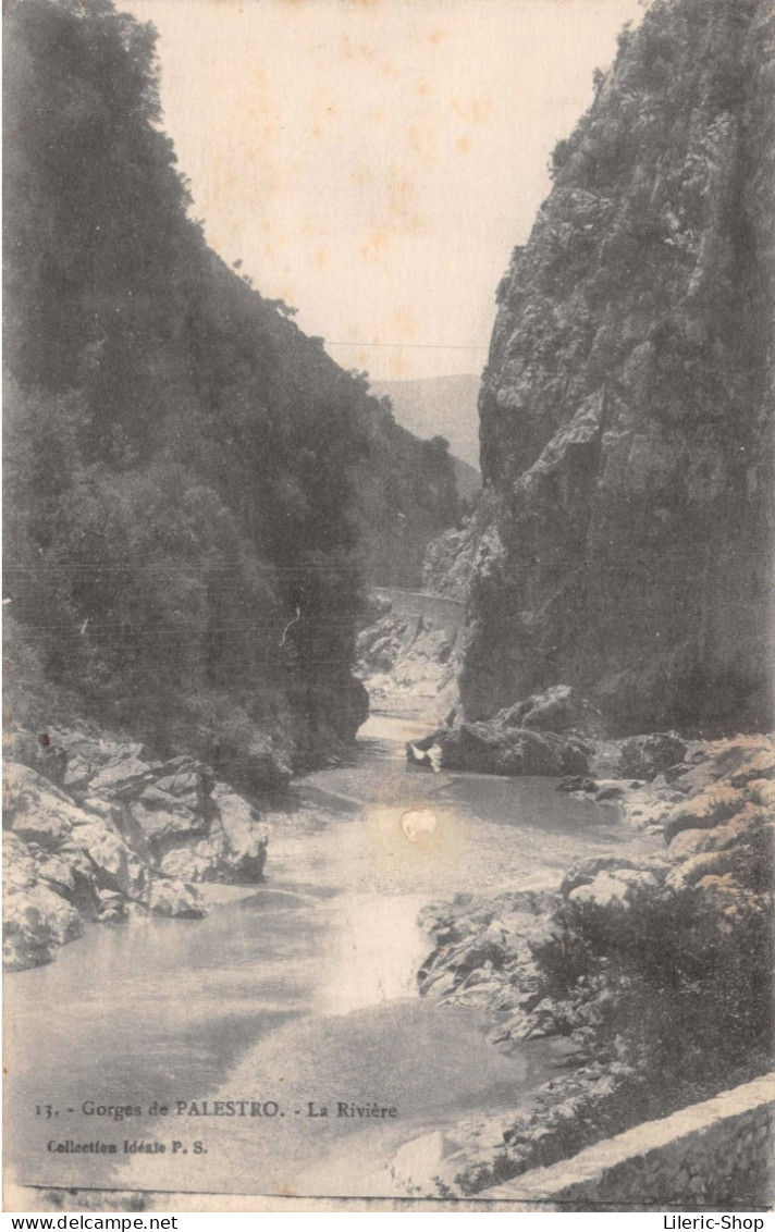 Kabylie/ Wilaya De Bouira / Lakhdaria (Palestro) - La Rivière Dans Les Gorges De Ammal  Cpa 1924 - Other & Unclassified
