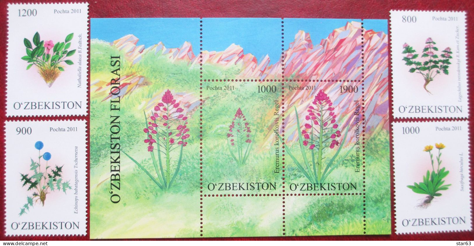 Uzbekistan  2011  Flora  4 V +S/S     MNH - Plantes Médicinales