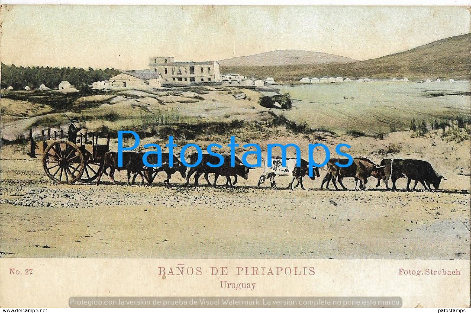 212829 URUGUAY PIRIAPOLIS BAÑOS BATHS VISTA PARCIAL & CART A COW POSTAL POSTCARD - Uruguay