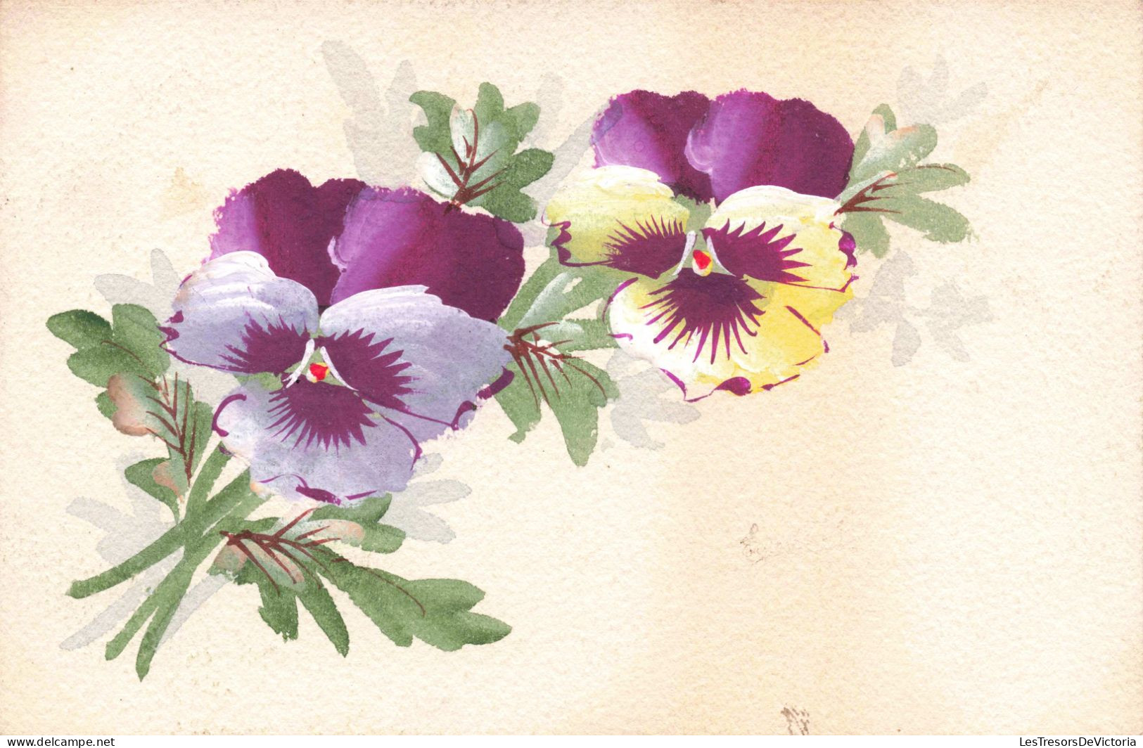 ILLUSTRATIONS - Fleurs - Aquarelle - Carte Postale Ancienne - Unclassified