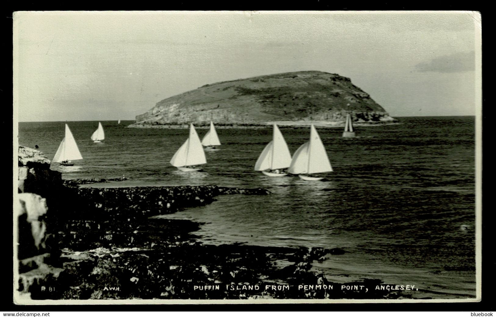 Ref 1631 - 1956 Real Photo Postcard Sailing At Penmon Point & Puffin Island Anglesey Wales - Anglesey