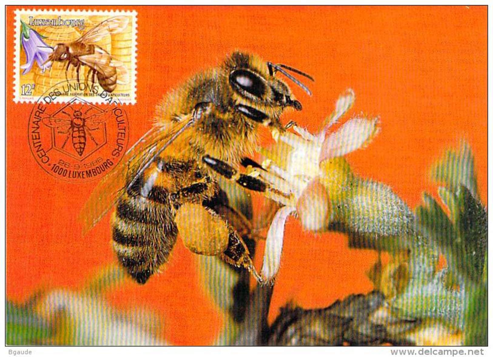 LUXEMBOURG  CARTE  MAXIMUM  NUM-YVERT  1099 APICULTURE ABEILLE RUCHE - Maximumkaarten