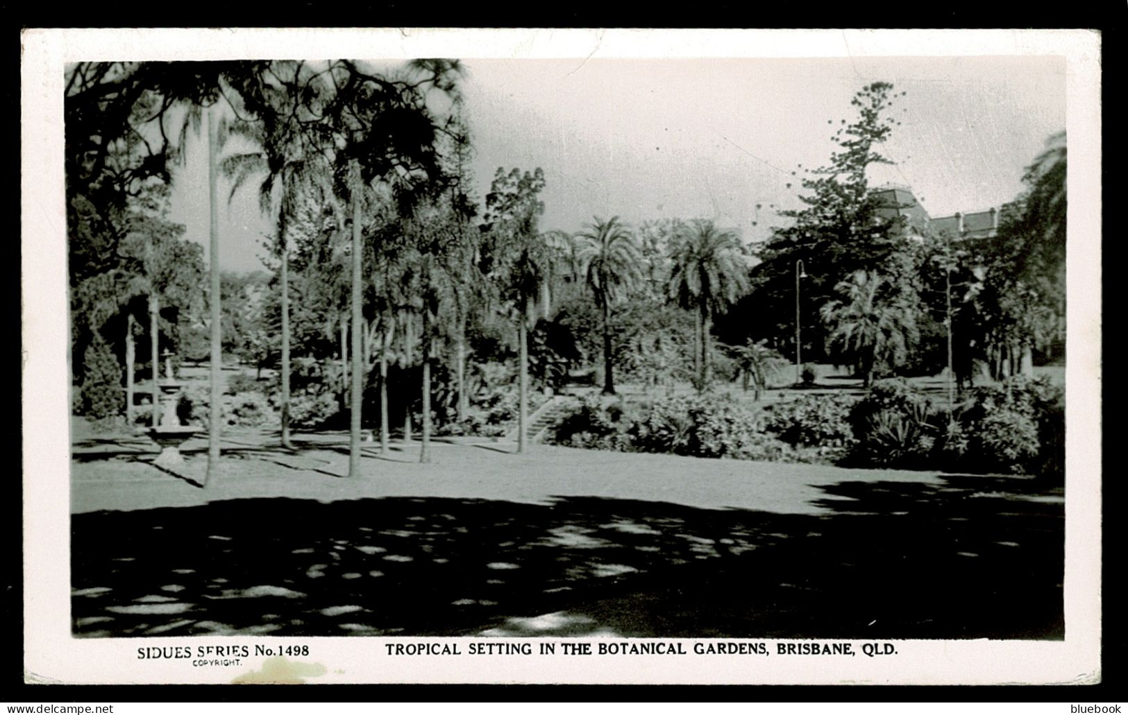 Ref 1632 - 1957 Real Photo Postcard Brisbane Gardens - Good Chardons Corner Postmarkk - Australia - Storia Postale