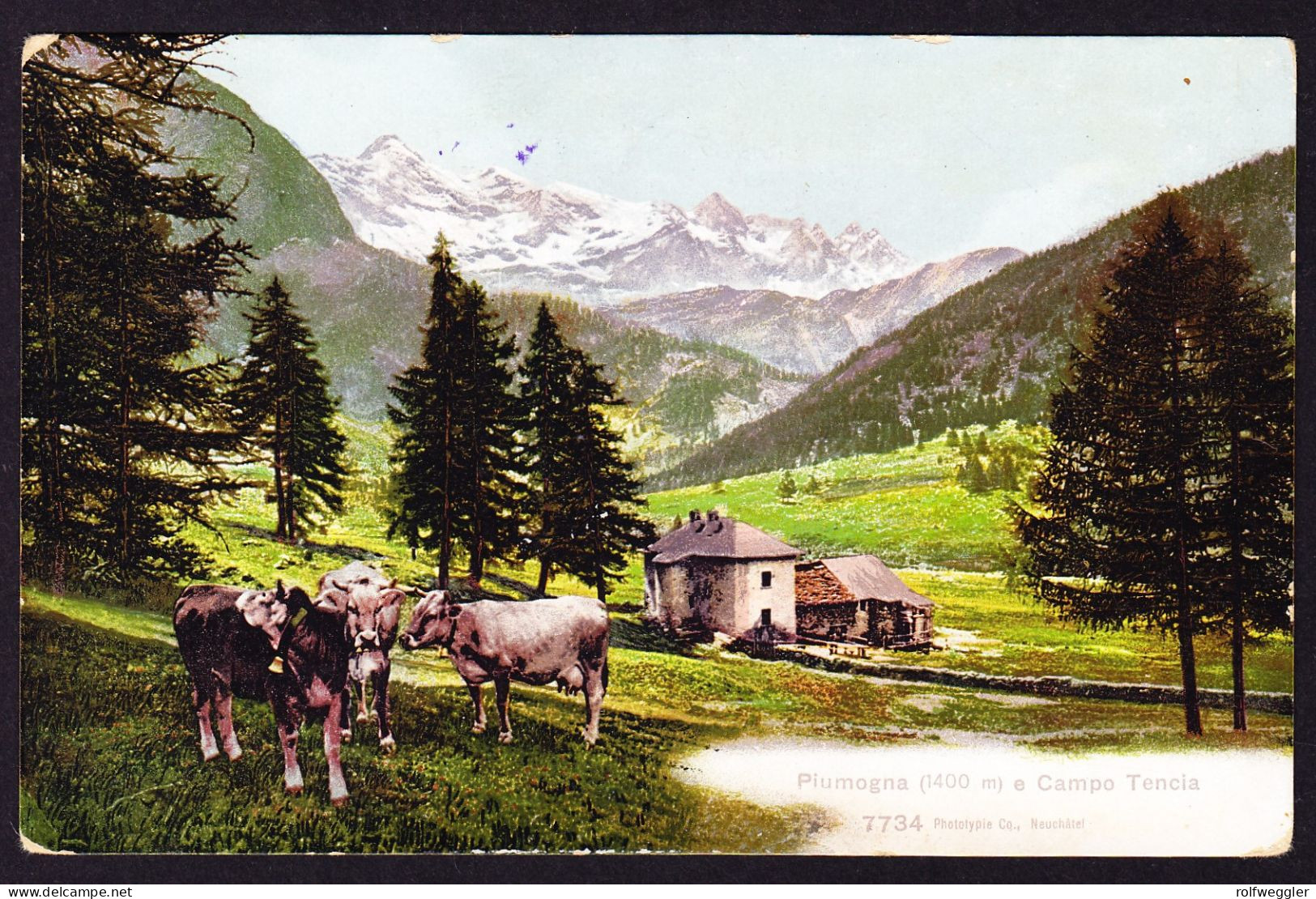 1909 Gelaufene AK (Dalpe) Aus Piumogna, Campo Tence. Zusatzstempel Piumogna Im Oval. Leventina - Campo