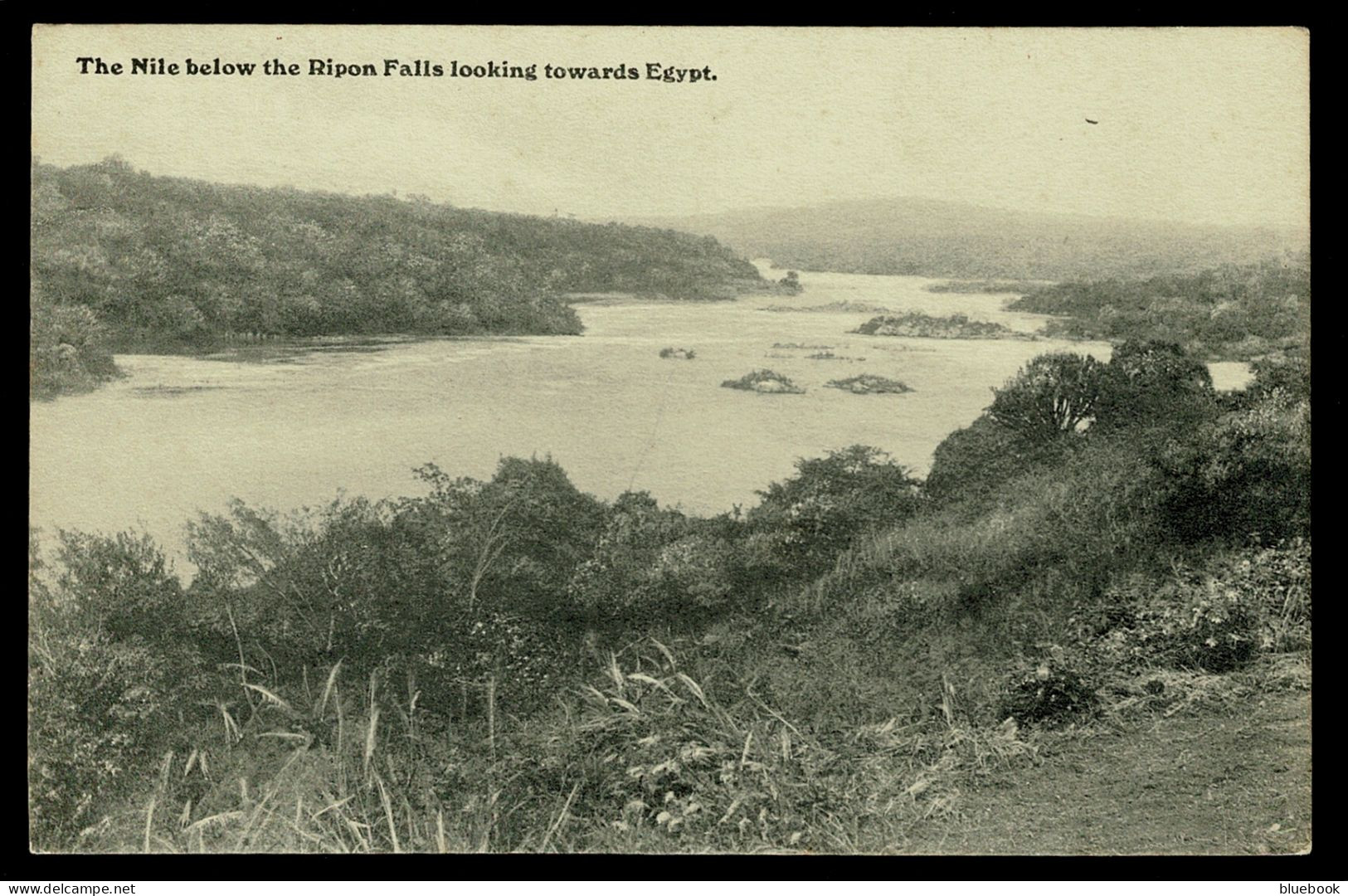 Ref 1632 - Early Postcard - The River Nile & Ripon Falls Uganda - Looking Towards Egypt - Uganda