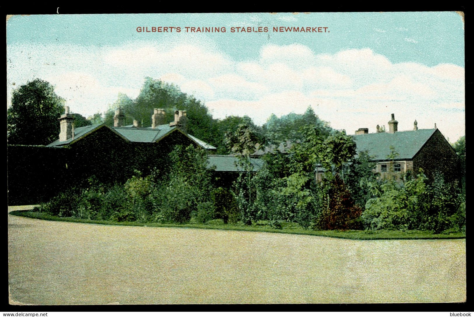 Ref 1632 - 1905 Postcard - Gilbert's Training Stables Newmarket - Hoseracing Theme - Andere & Zonder Classificatie