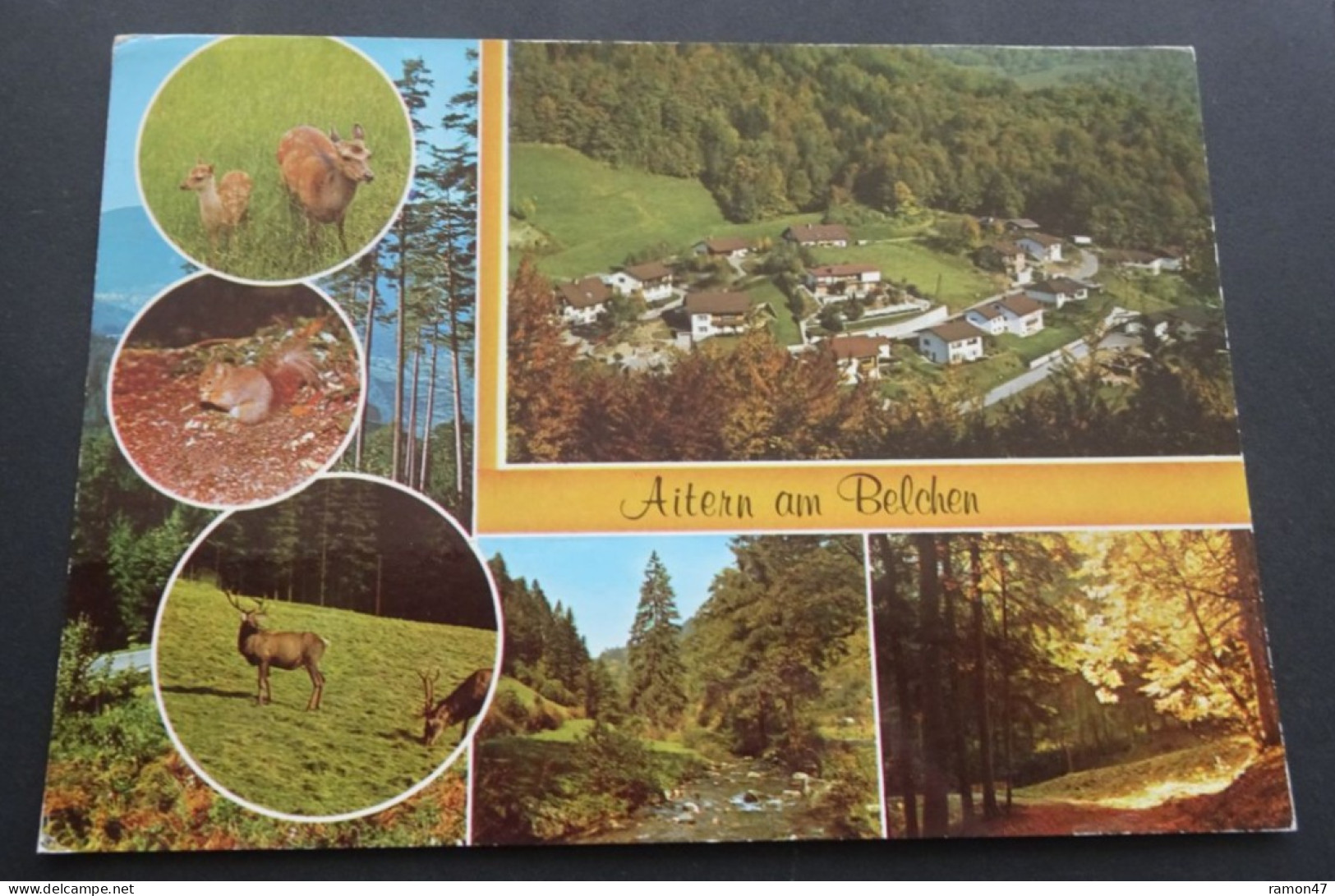 Aitern Am Belchen - Ansichtskartenverlag W. Feldmann, Wildbad - Loerrach