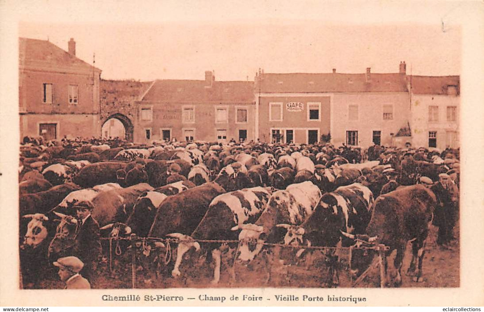 Chemillé      49         Champ De Foire. Marché Aux Bestiaux    Vieille Porte Historique  -  .               (voir Scan) - Chemille