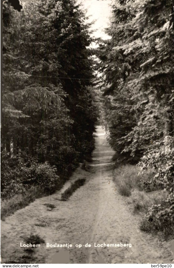 LOCHEM BOSLAANTJE OP DE LOCHEMSEBERG - Lochem