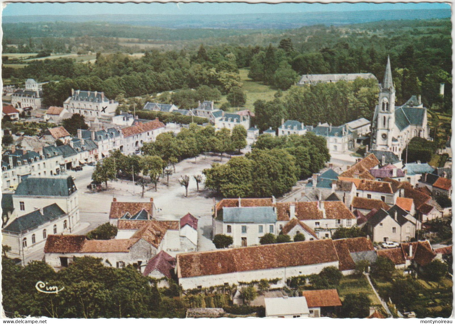 Vienne : PLEUMARTIN :  Vue - Pleumartin