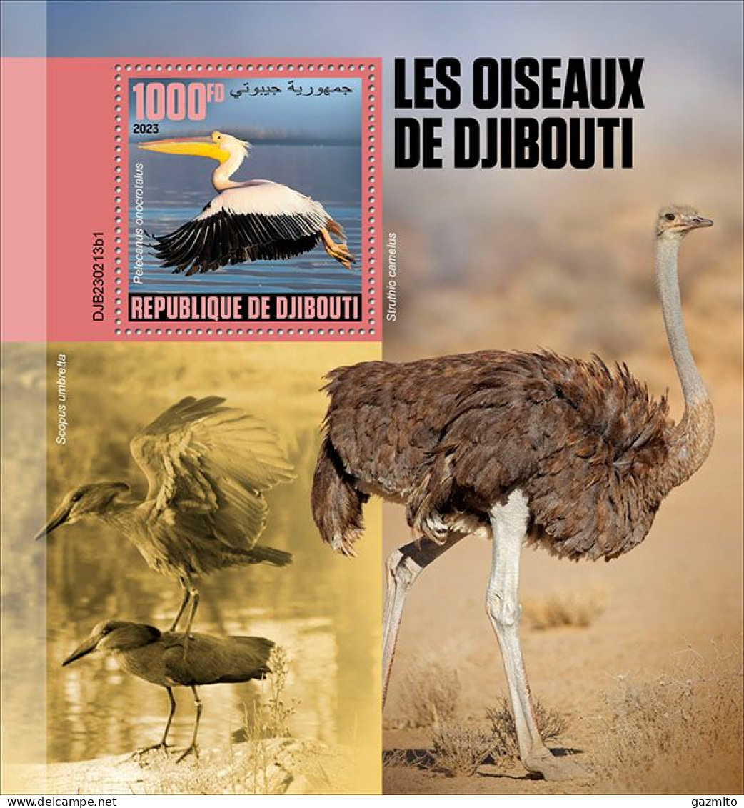 Djibouti 2023, Animals, Birds In Djibouti, Ostric, BF - Ostriches