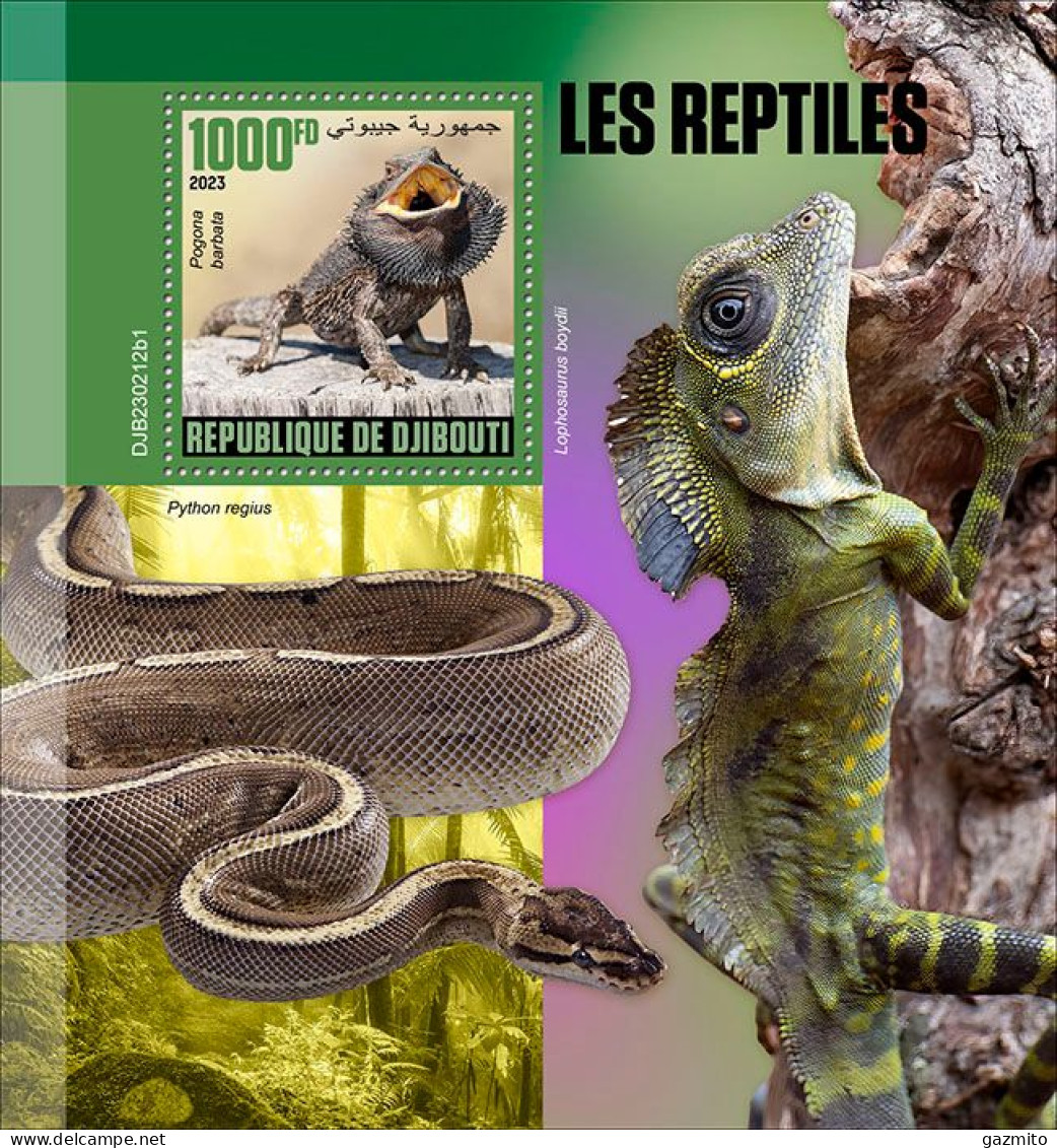 Djibouti 2023, Animals, Reptiles, Snake, BF - Serpents