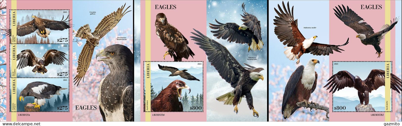 Liberia 2023, Animals, Eagles, 3val In BF+2BF - Aigles & Rapaces Diurnes