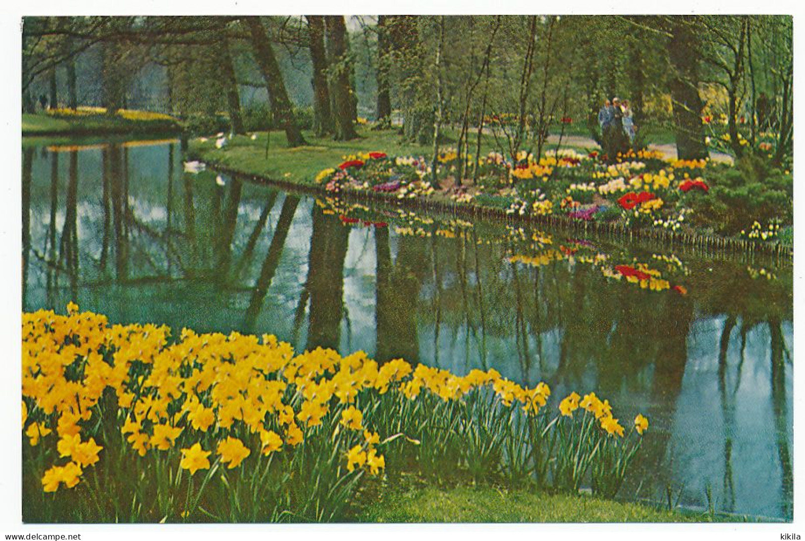 CPSM  / CPM 10.5 X 15 Pays Bas (50) Keukenhof  Lisse-Holland   Parc Floral De Keukenhof à LISSE - Lisse