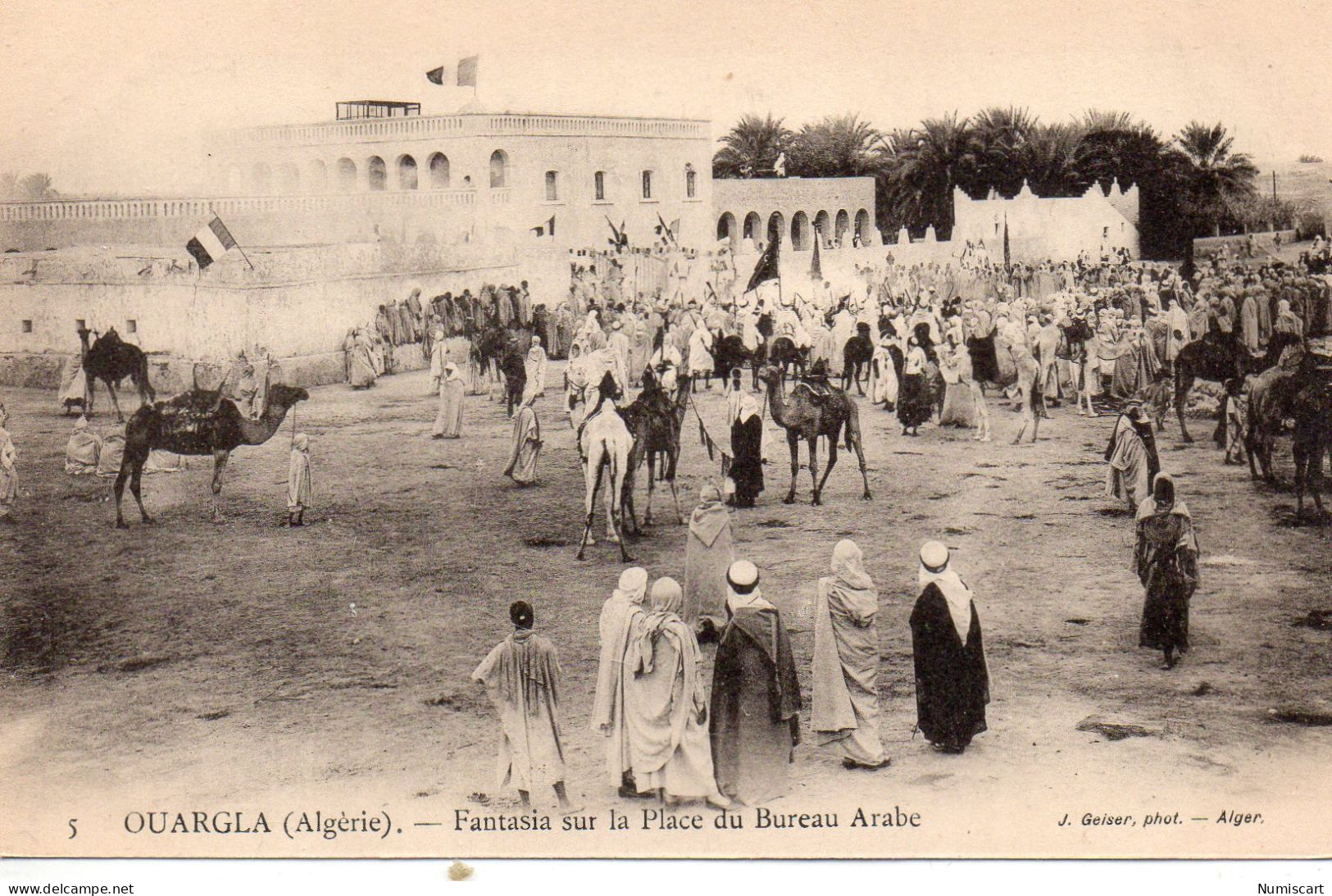 Ouargla Très Animée Fantasia Place Du Bureau Arabe Chameaux - Ouargla