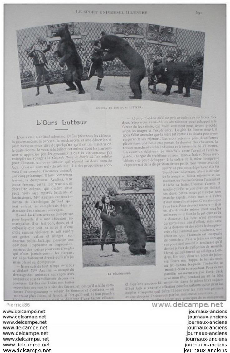 1899 YATCHTING BASSIN D'ARCACHON / L'OURS LUTTEUR / BOXE JIM JEFFRIES / ECUYERE DE HAUTE ECOLE / FOX TERRIER A POIL RAS. - 1850 - 1899