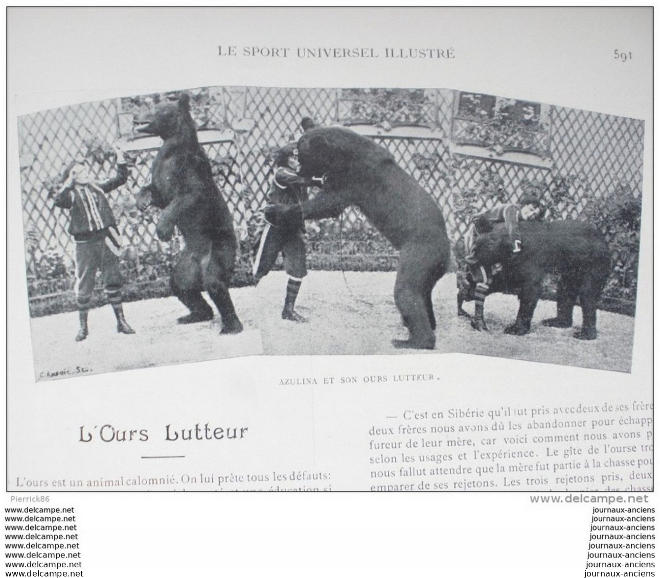 1899 YATCHTING BASSIN D'ARCACHON / L'OURS LUTTEUR / BOXE JIM JEFFRIES / ECUYERE DE HAUTE ECOLE / FOX TERRIER A POIL RAS.