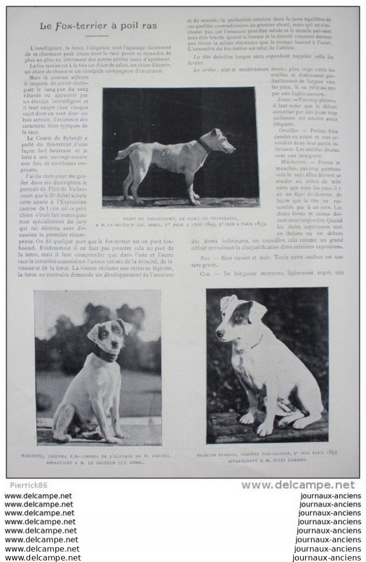 1899 YATCHTING BASSIN D'ARCACHON / L'OURS LUTTEUR / BOXE JIM JEFFRIES / ECUYERE DE HAUTE ECOLE / FOX TERRIER A POIL RAS.