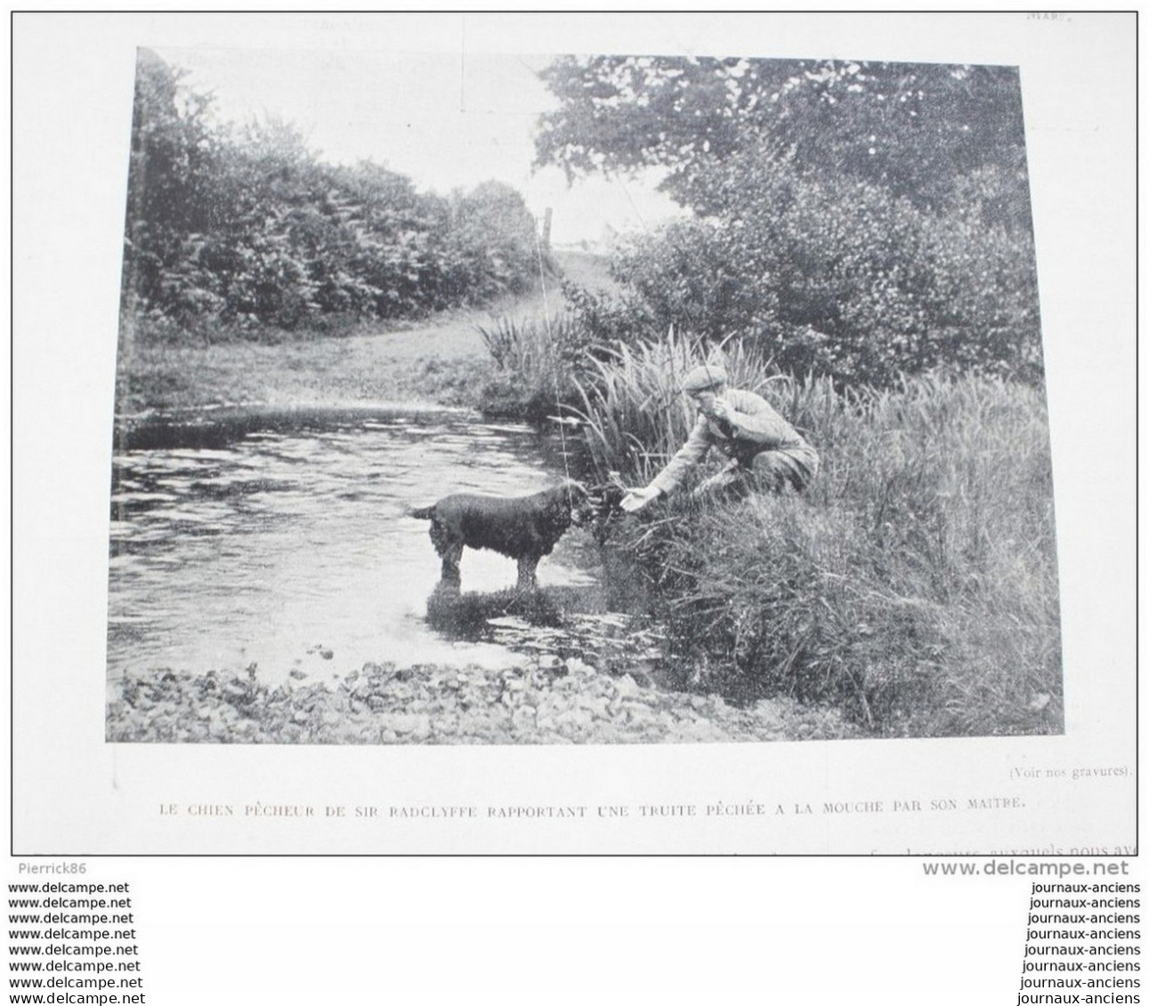 1899 YATCHTING BASSIN D'ARCACHON / L'OURS LUTTEUR / BOXE JIM JEFFRIES / ECUYERE DE HAUTE ECOLE / FOX TERRIER A POIL RAS.