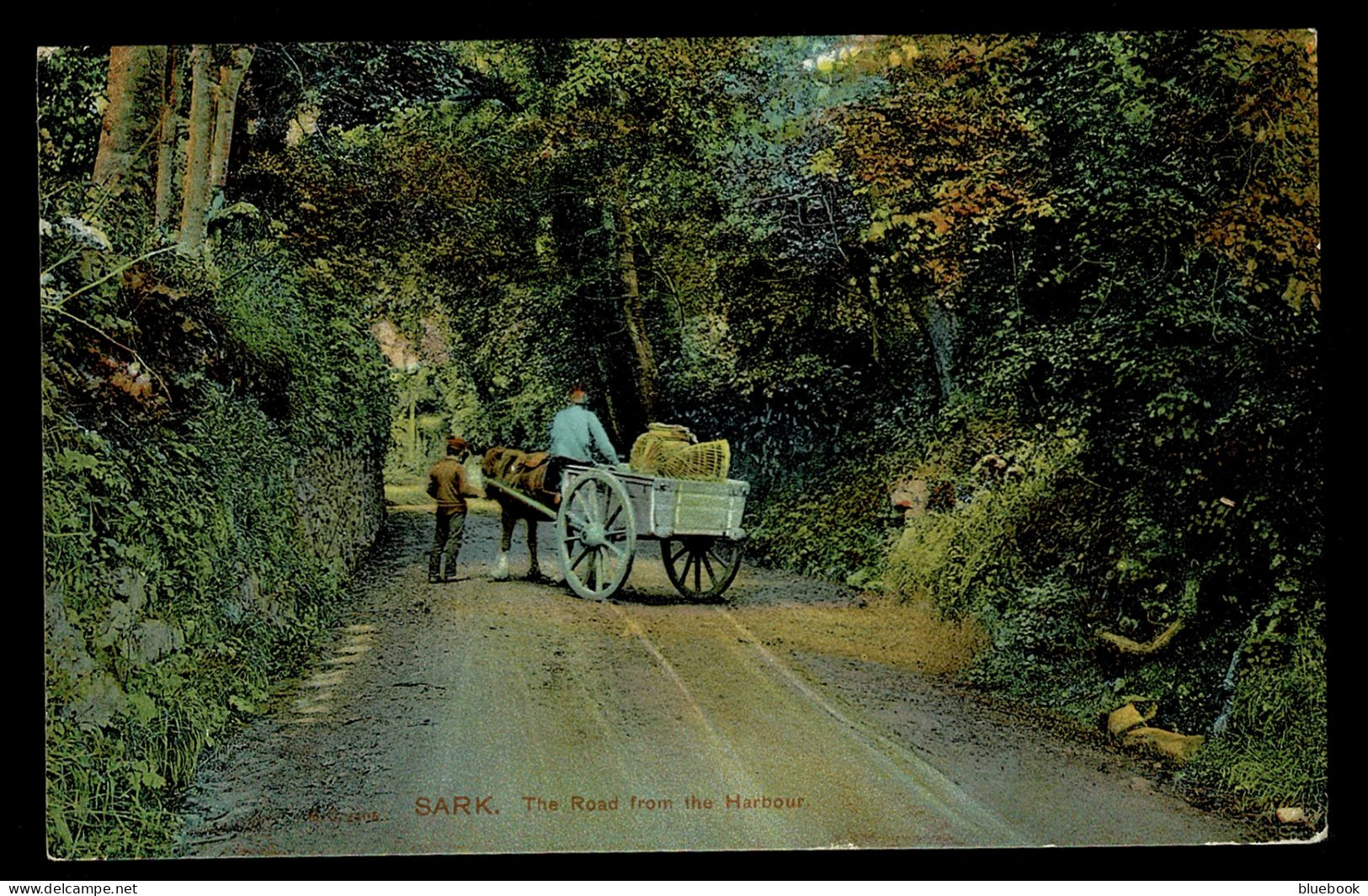 Ref 1632 - 1908 / 190S Peacock Postcard - The Road From The Harbour Sark - Channel Islands - Sark