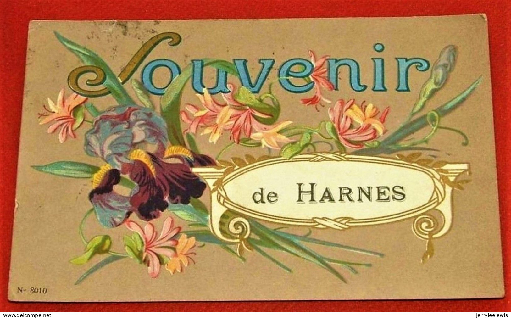 HARNES -  Souvenir De Harnes  -  1923  - - Harnes