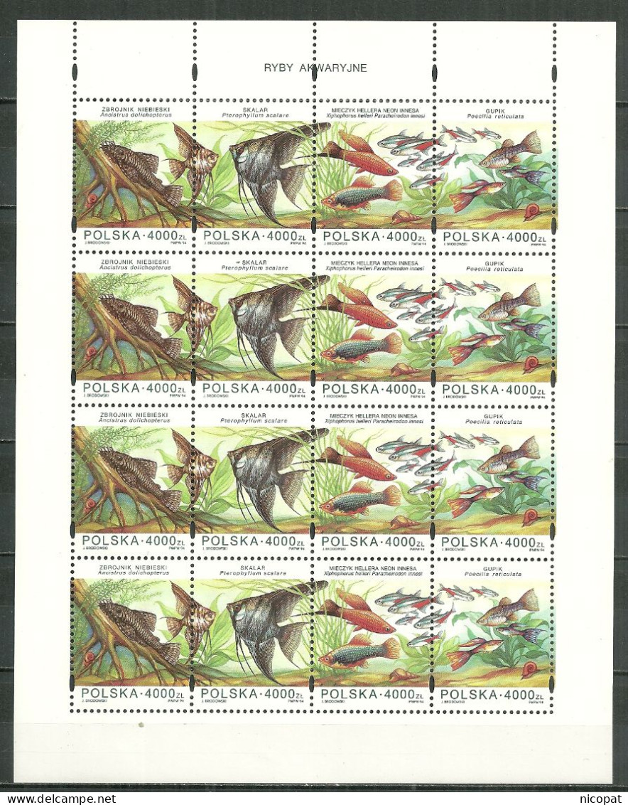 POLAND MNH ** 3297-3300 En Feuille POISSONS D'ORNEMENT - Volledige Vellen