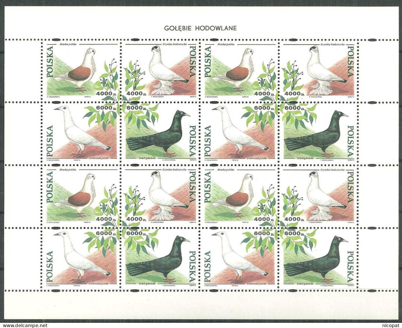 POLAND MNH ** 3304-3307 En Feuille Feuillet FAUNE. PIGEON. PIGEONS - Ganze Bögen