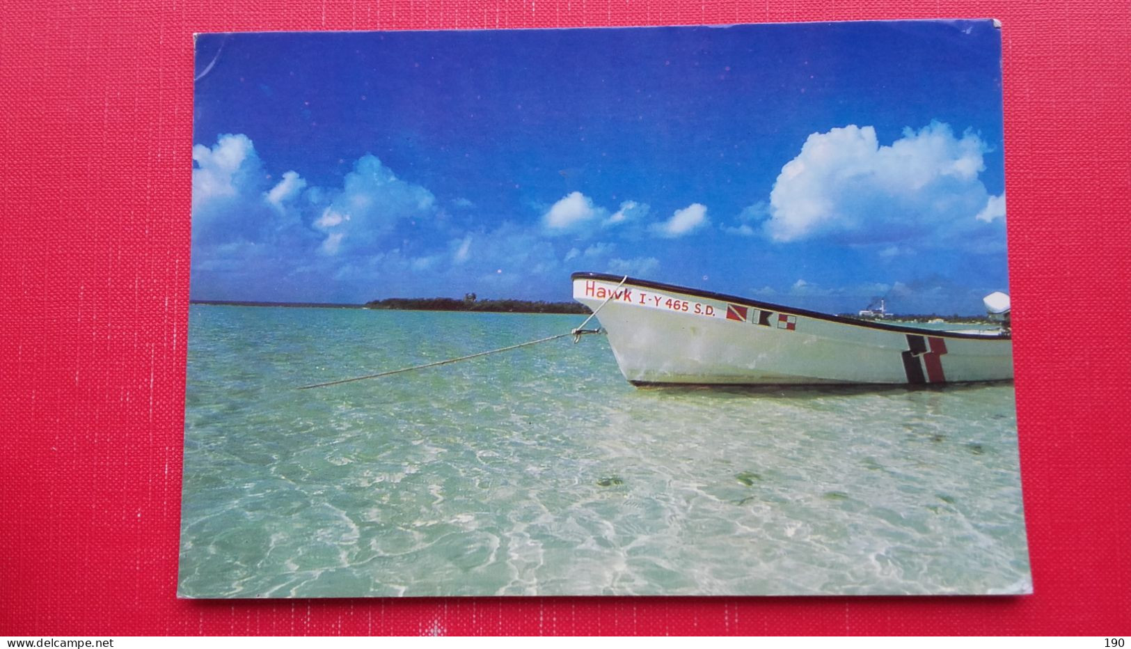 Boca Chica.Santo Domingo.Boat Hawk - Repubblica Dominicana