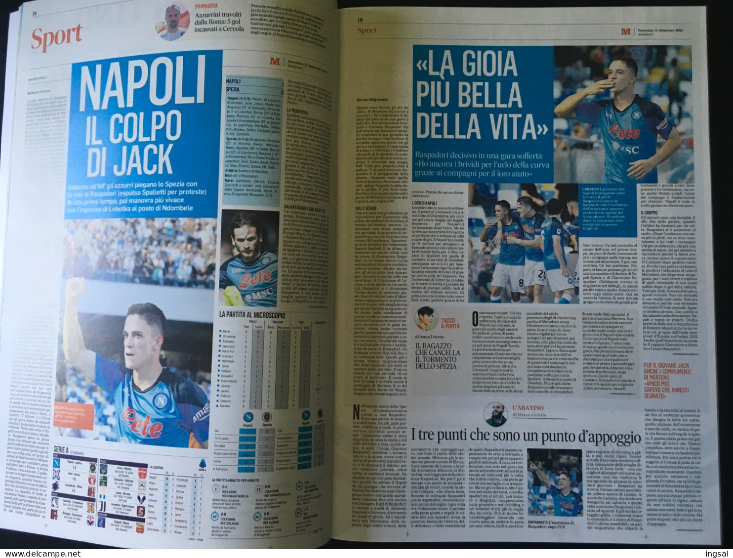 NAPOLI……Il Racconto Dello Scudetto…….Un Anno Da Sogno……a Cura Di Francesco De Luca - Sport