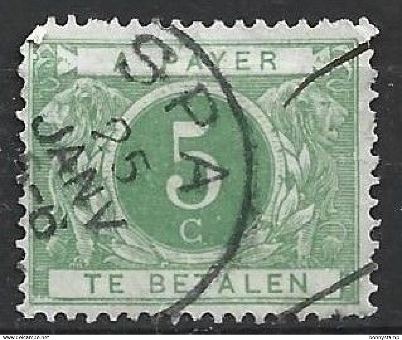 Belgio, 1895/09 - 5c Te Betalen - Nr.J3 Usato° - Journaux [JO]