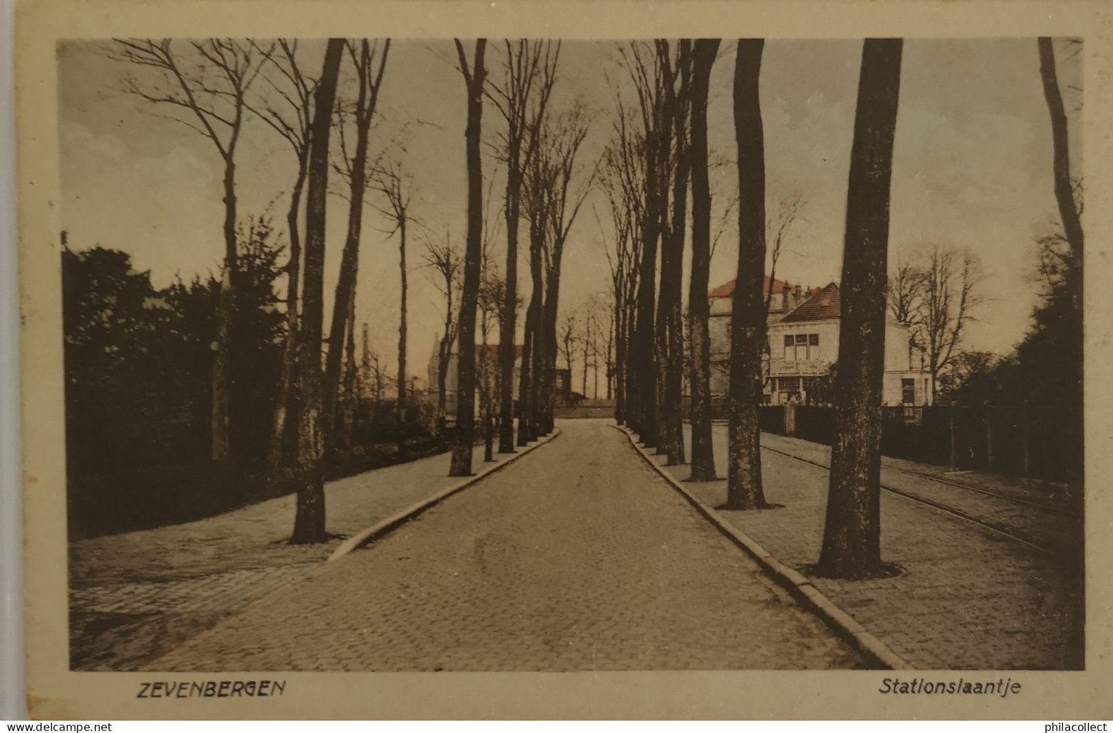 Zevenbergen (N-Br.) Stationslaantje 1931 - Zevenbergen