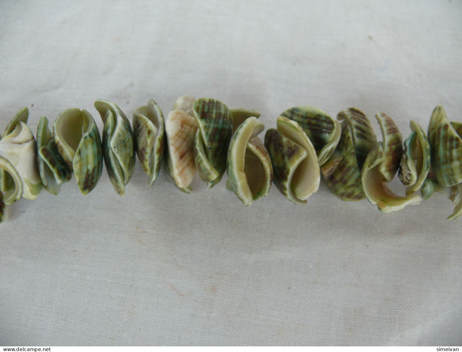 Beautiful Natural Shells Necklace Green Tone #1518 - Kettingen
