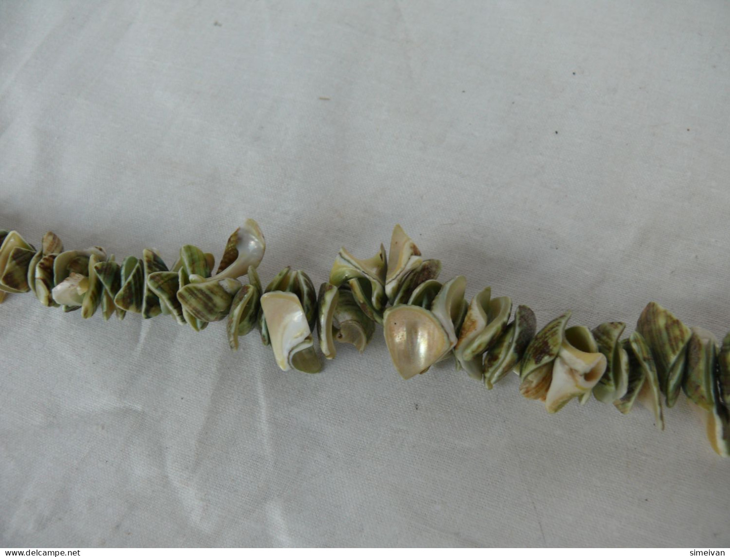 Beautiful Natural Shells Necklace Green Tone #1518 - Halsketten