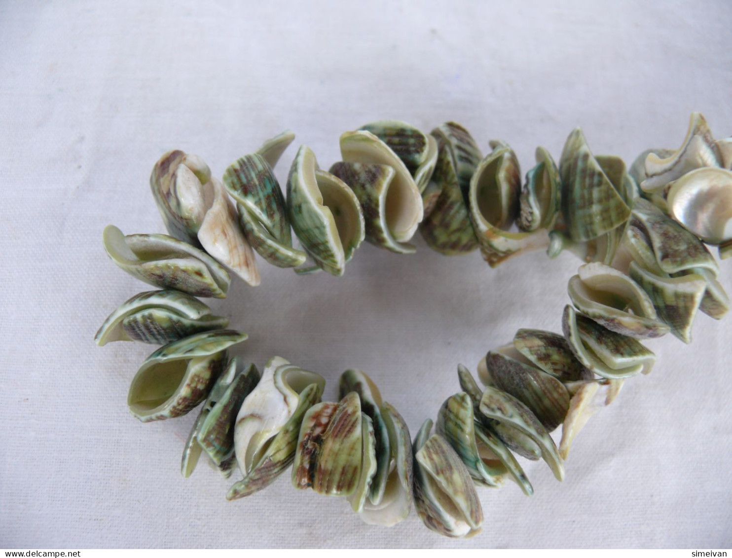 Beautiful Natural Shells Necklace Green Tone #1518 - Kettingen