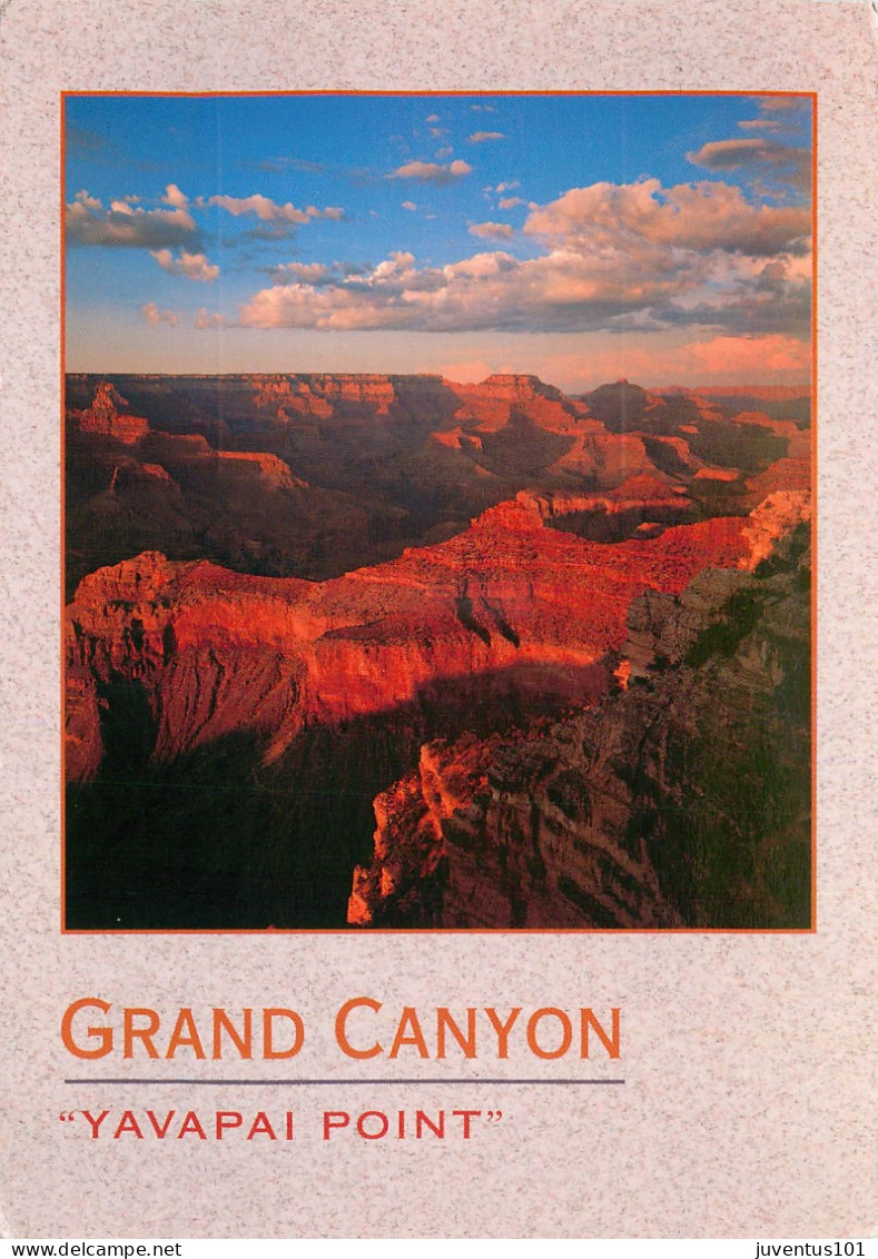 CPSM Grand Canyon-Yavapai Point-Timbre       L2361 - Grand Canyon