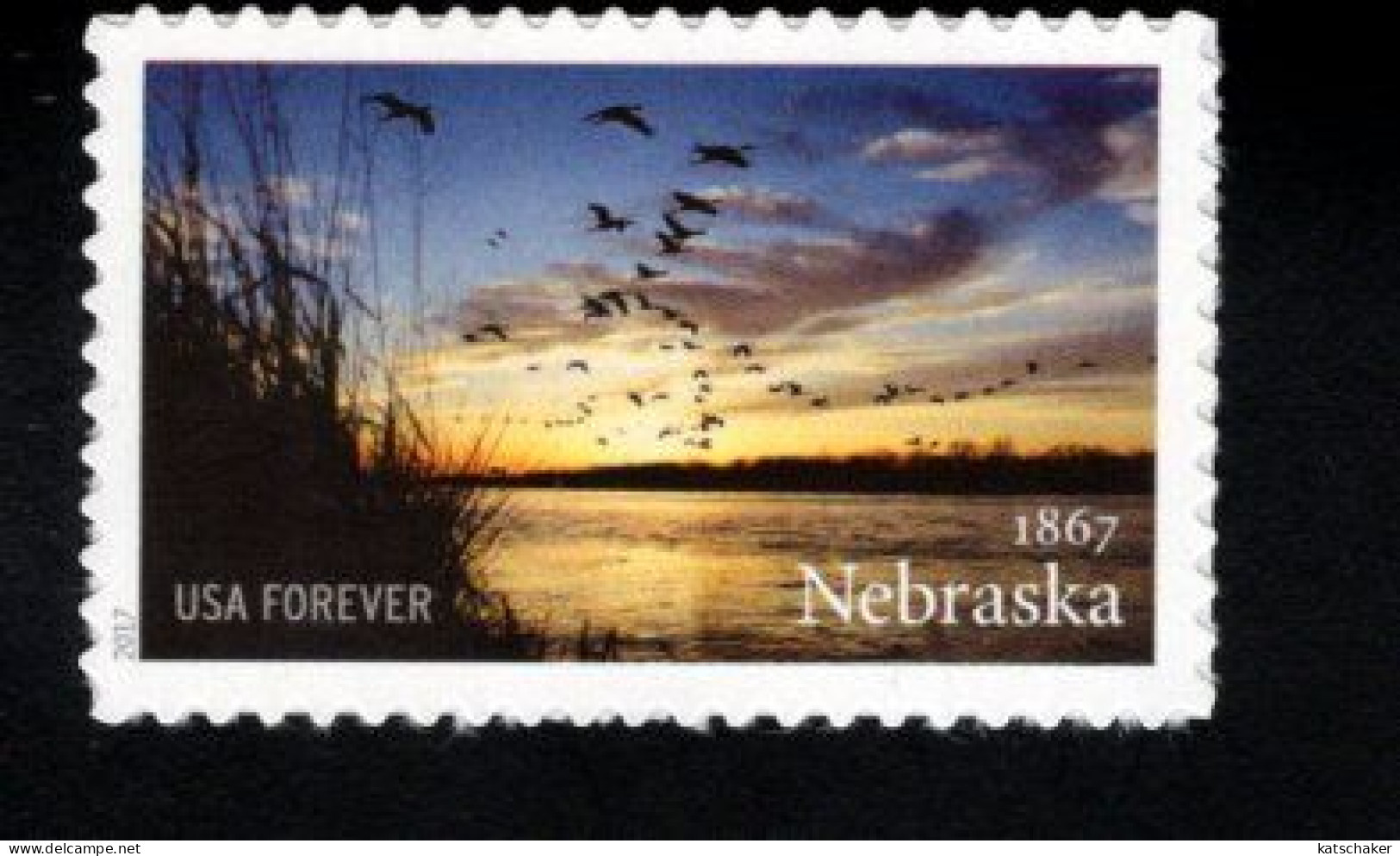 1851458067 2017 SCOTT 5179 (XX) POSTFRIS MINT NEVER HINGED  - NEBRASKA STATEHOOD - Nuovi