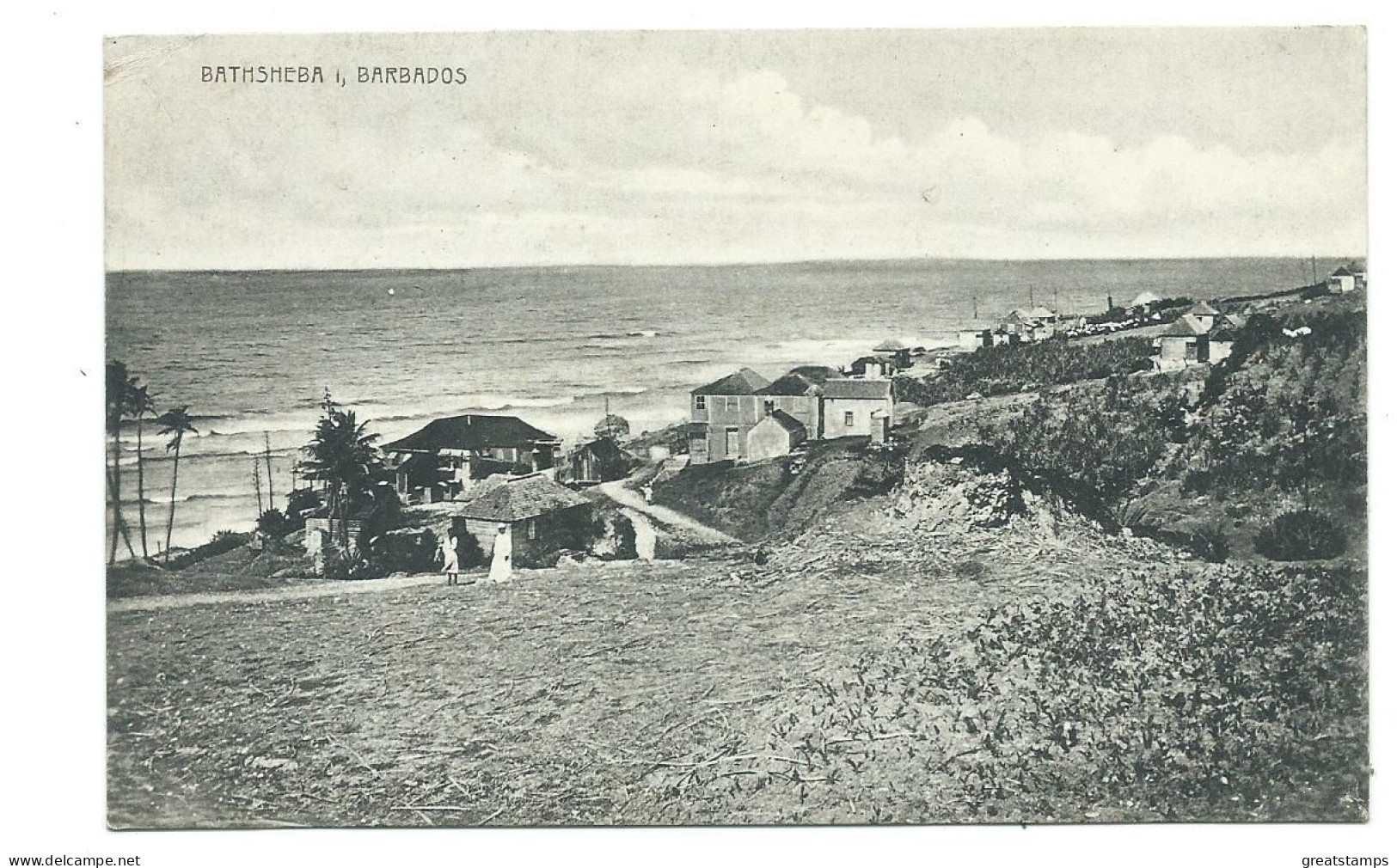 Barbados Old Postcard Bathsheba Unused - Barbades