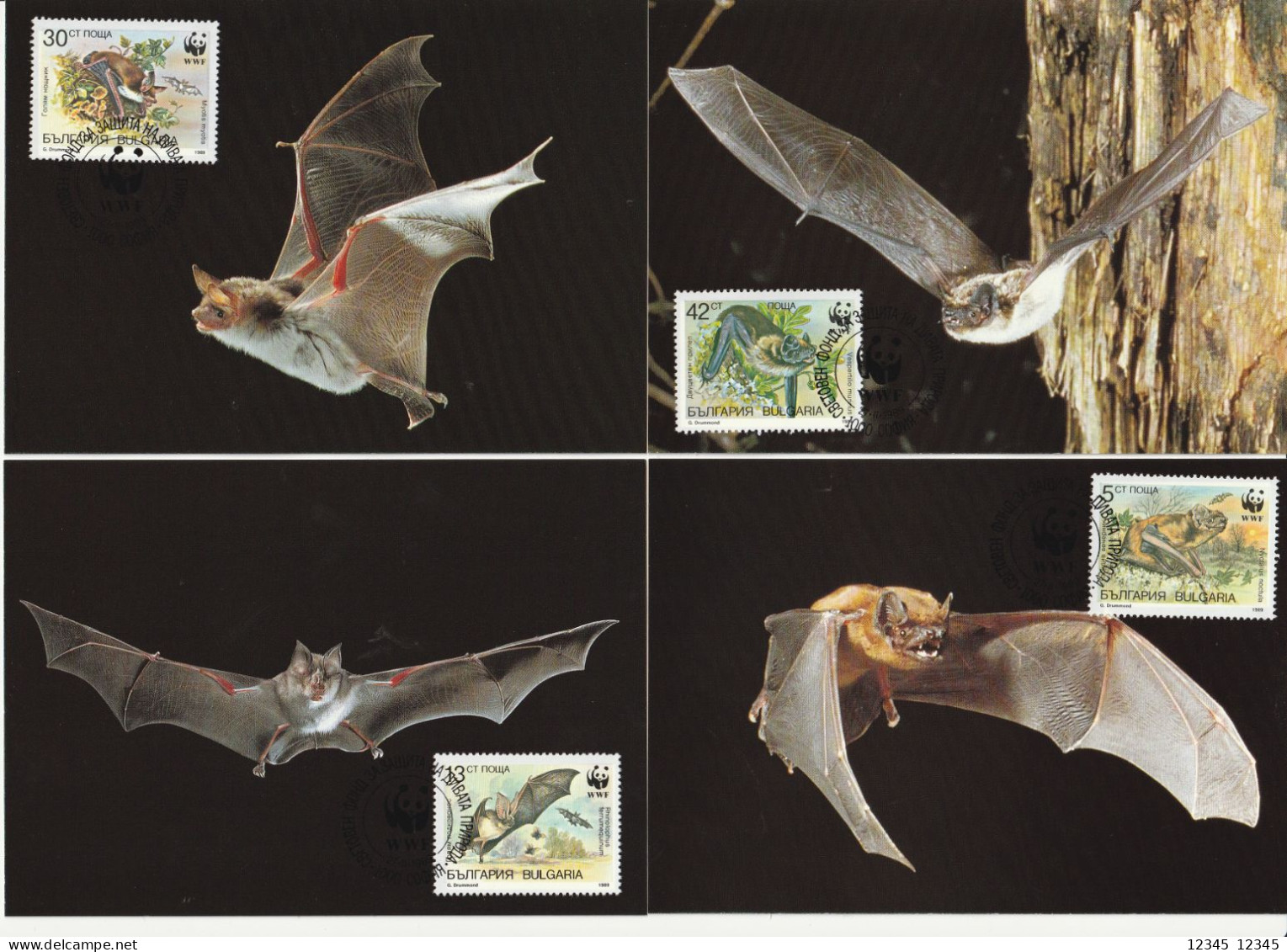 Bulgarije 1989, Postcards, WWF, Bats Of Bulgaria - Brieven En Documenten