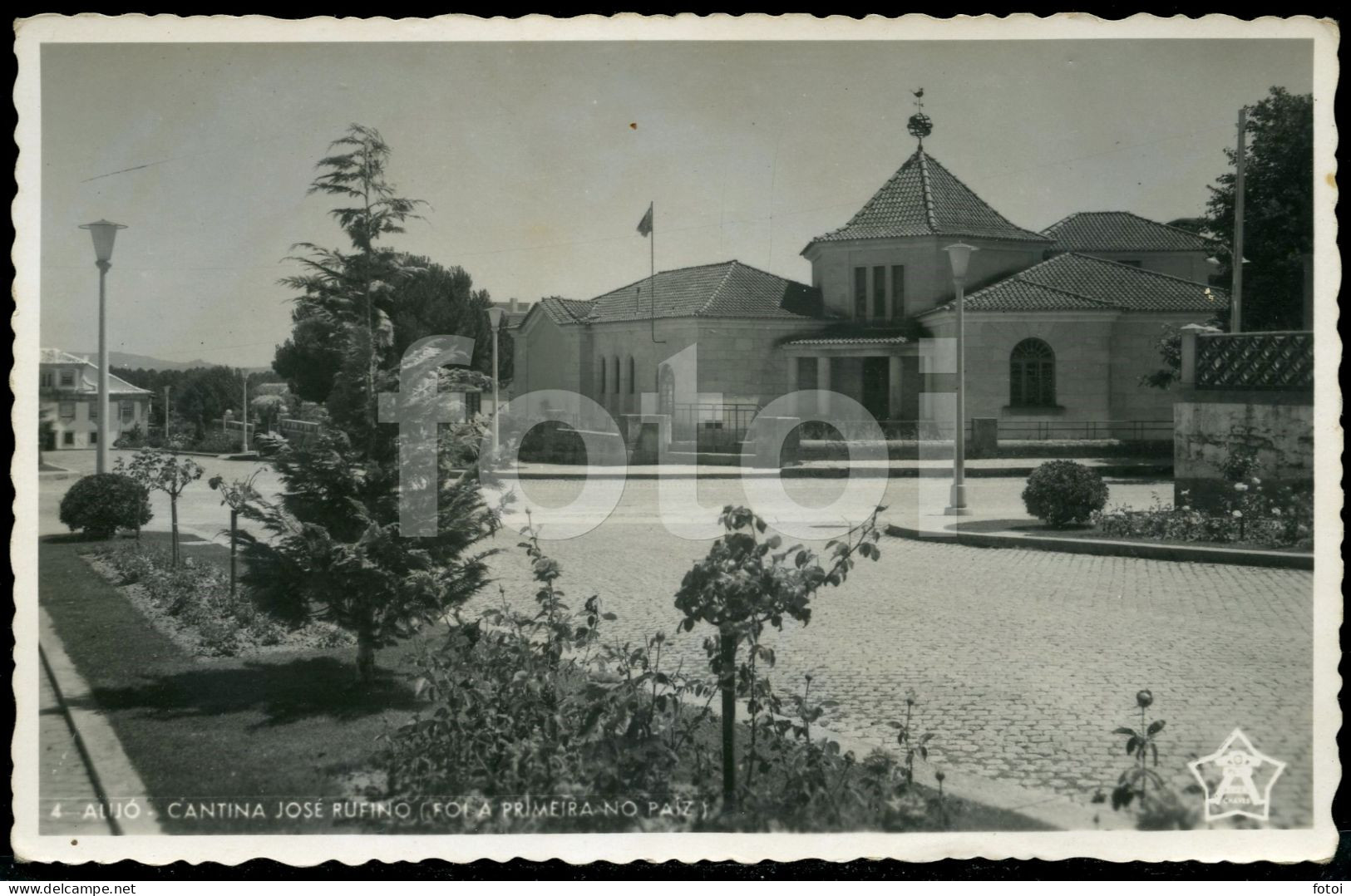 REAL PHOTO POSTCARD CANTINA JOSE RUFINO ALIJO VILA REAL TRÁS OS MONTES PORTUGAL CARTE POSTALE - Vila Real