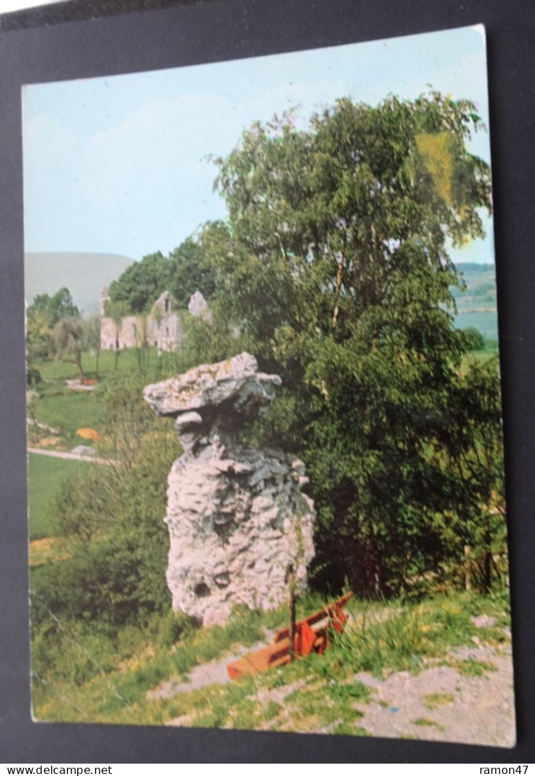 Bär Mit Ruine - Meissner 1, Abterode -Foto-Verlag Kistner, Abterode - Eschwege