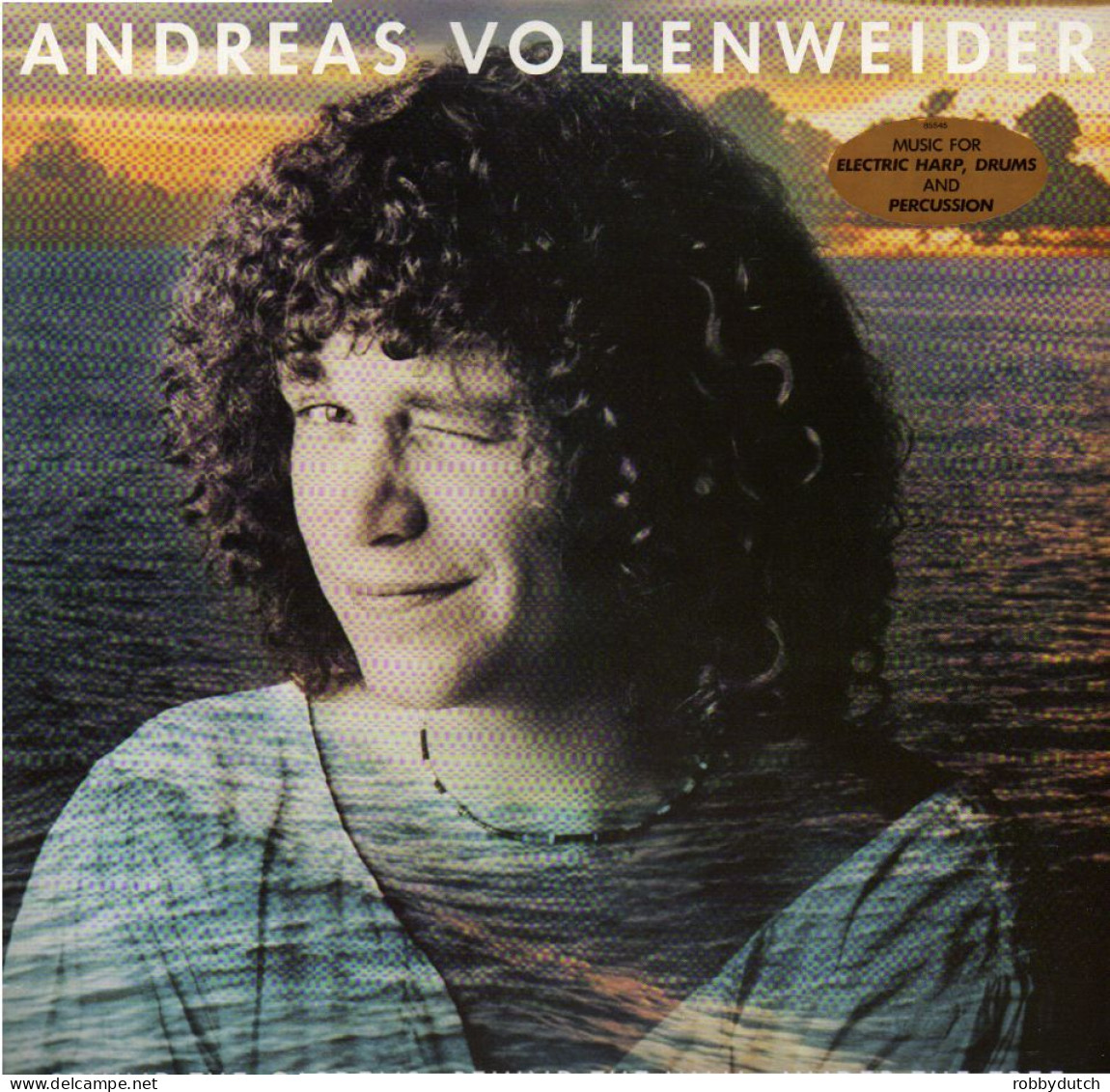 * LP *  ANDREAS VOLLENWEIDER - BEHIND THE GARDENS, BEHIND THE WALL, UNDER THE TREE (NL 1981 Ex!!!) - Instrumentaal