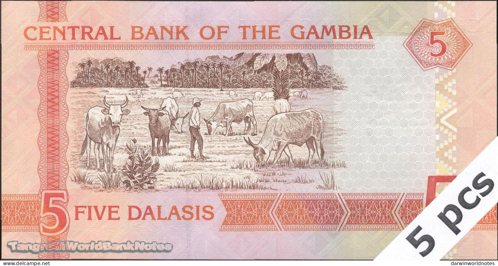 DWN - GAMBIA P.25c - 5 Dalasis ND (2014) UNC - Various Prefixes - DEALERS LOT X 5 - Gambia