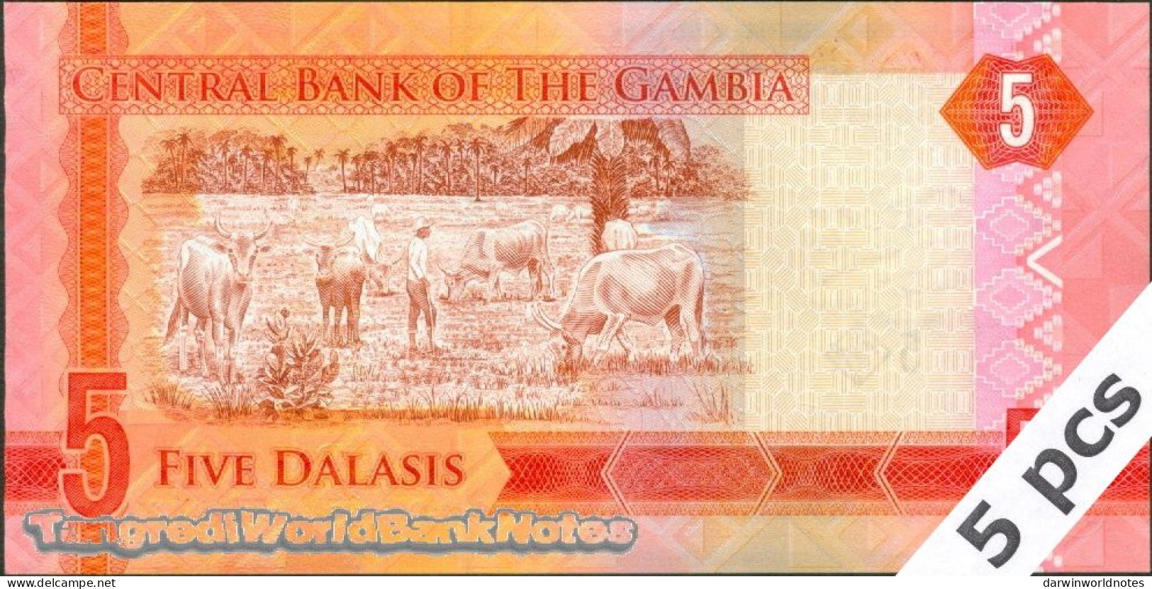 DWN - GAMBIA P.31 - 5 Dalasis ND (2015) UNC - Various Prefixes - DEALERS LOT X 5 - Gambia