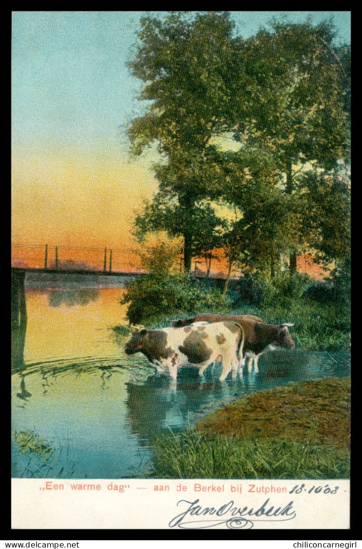 * ZUTPHEN - Een Warme Dag - Aan De Berkel Bij Zutphen - Vaches Dans La Rivière - Edit. D.T.C.L. - 1903 - Zutphen