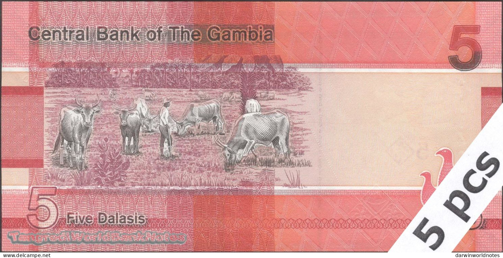 DWN - GAMBIA P.37a - 5 Dalasis 2019 UNC - Various Prefixes - DEALERS LOT X 5 - Gambia