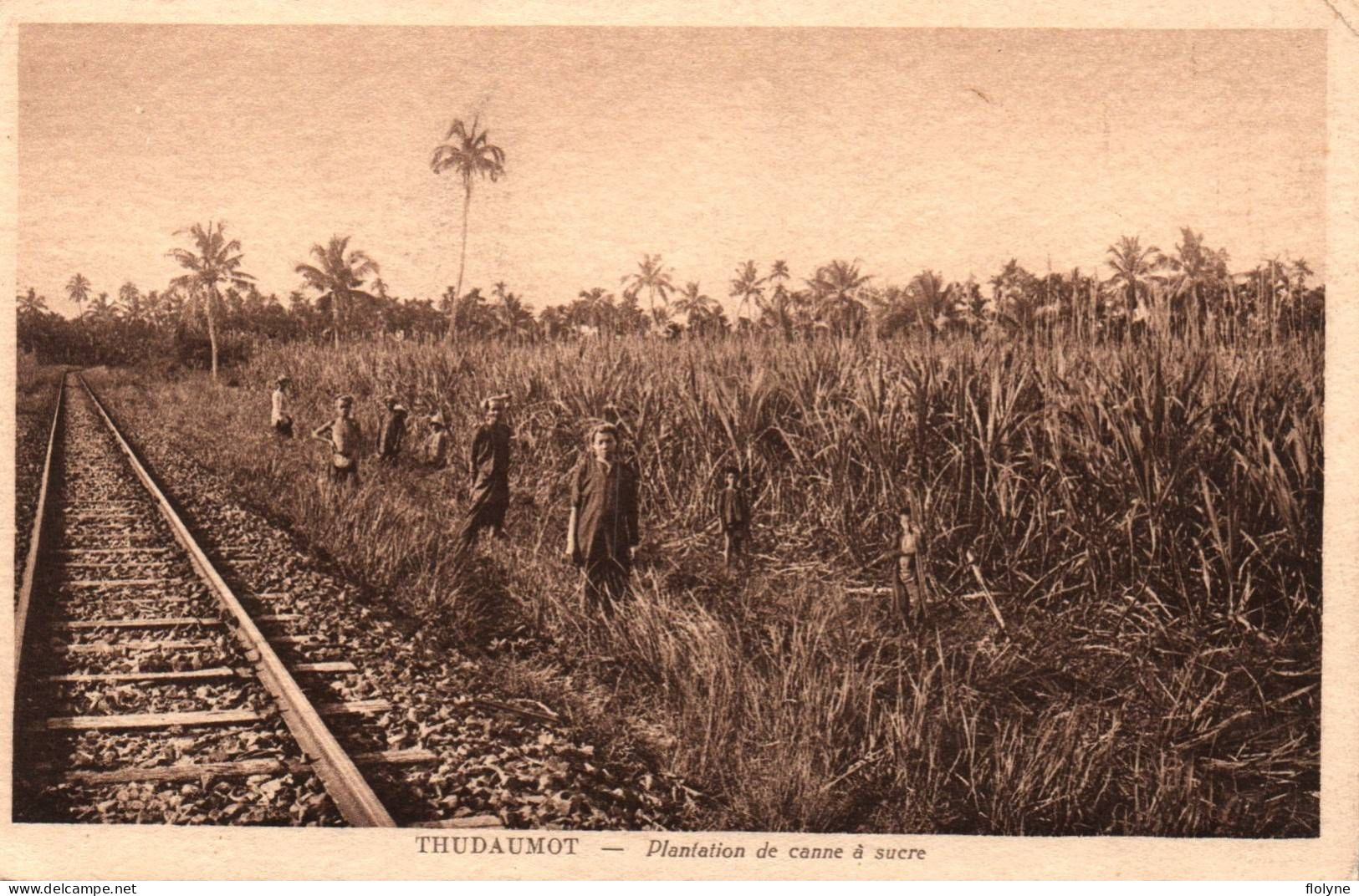 Thudaumot - Plantation De Canne à Sucre - Rails Ligne De Chemin De Fer - Viêt Nam - Vietnam