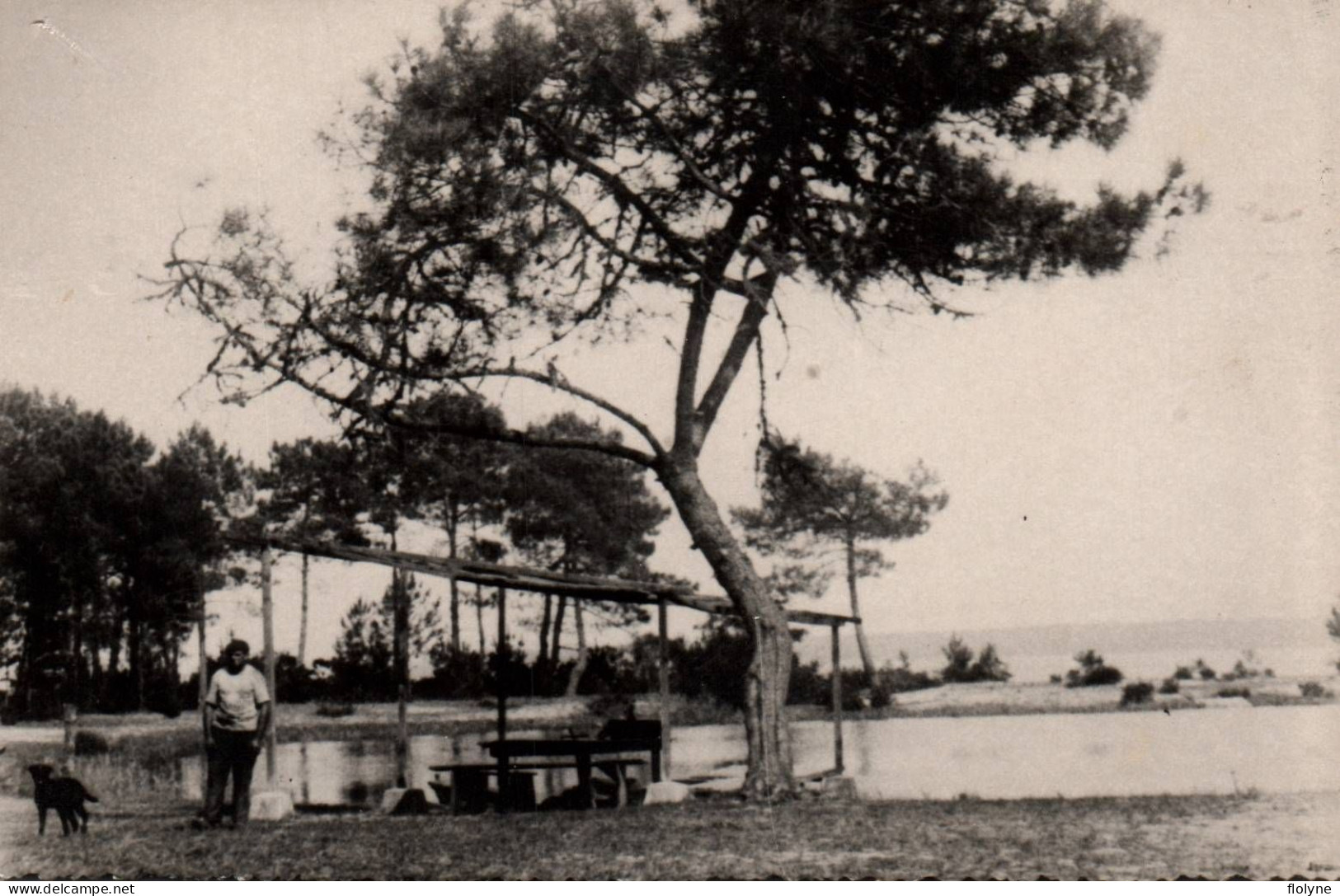 Biscarosse - Carte Photo - Vue Sur Le Lac - Biscarrosse